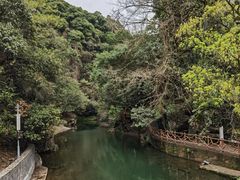 -石台牯牛降景区