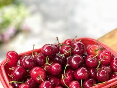 樱桃-青城甲(青城山店)