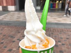 -Salud撒露欧洲冻酸奶(蓝色港湾店)