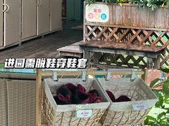 -菲司迪托育园(蛇口店)