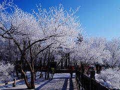 -镜泊湖风景区
