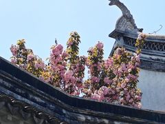 -南翔古镇