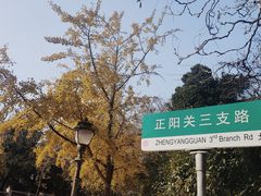-八大关景区