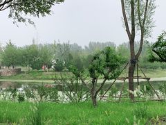 -东郊湿地公园