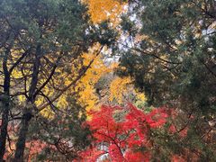 -狼山风景名胜区