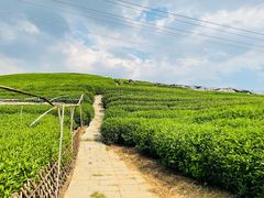 -听风阁农家私房菜茶楼(龙坞店)