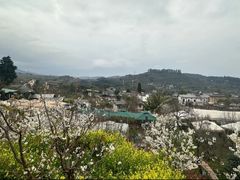 -桃源山庄·水蜜桃采摘·柴火鸡·烧烤团建(龙泉山店)