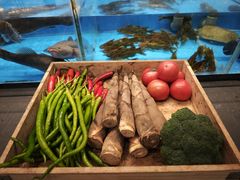 -许家菜(DT51店)