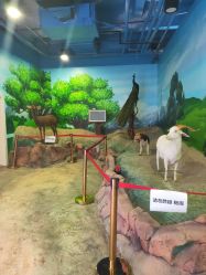 点击看大图 -酷嗒动物文化乐园(cutezoo西溪乐天城店)