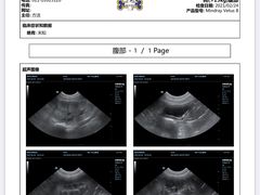 -康成宠物医院24H·CT·核磁共振