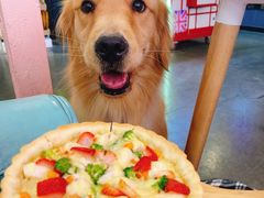 -百好乐宠物友好餐厅(朝外大街店)