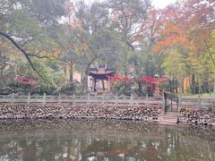 -阿育王寺
