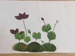 -佳禾月嫂育儿嫂(拱墅店)