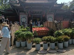 -丰都鬼城名山景区