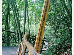 -燕子河大峡谷天坑仙境