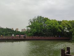 -青枫公园
