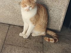 -上海怡沁园度假酒店