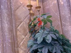 -新碧水留香新桑拿