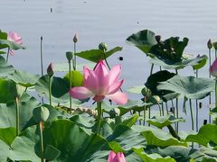 -永定河休闲森林公园