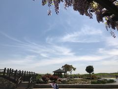 -上海鲜花港