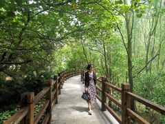 -东寨港红树林旅游区