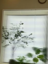 -OAE日式皮肤管理お肌の