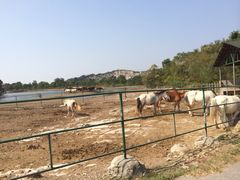 iphone_upload_pic-苏州太湖牛仔风情度假村