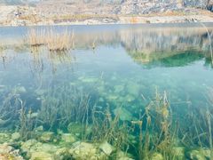 -黄埔油麻山森林公园