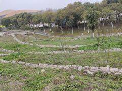-滆湖低碳生态公园