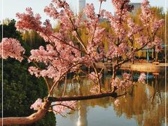 -团结湖公园