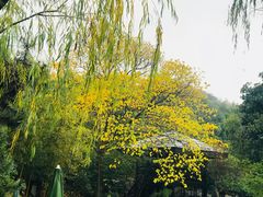 -白马涧龙池景区