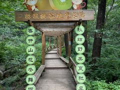 -大岭沟猕猴桃谷风景区