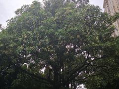 -江滨壹号艺文空间复合餐厅(闽江大道店)