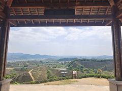 -龙坞茶村