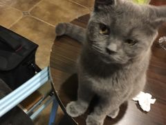 -共舞时光猫咖·狗咖(新街口店)