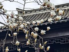 -苏皖边区政府旧址纪念馆