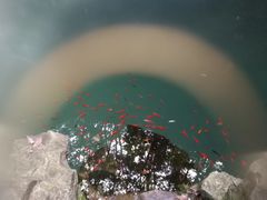 -玉女潭景区
