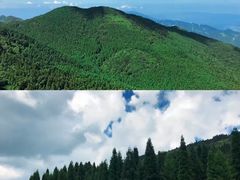 -武陵山森林公园