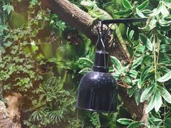 -上海大自然野生昆虫馆(东方明珠·爬宠昆虫探索中心)