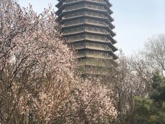 -玲珑塔公园