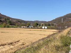 -南泥湾风景区