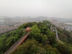 -福道