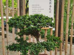 -上海醉白池公园