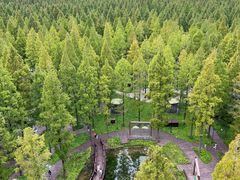 -黄海国家森林公园