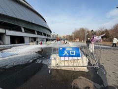 -沈阳奥体冰雪嘉年华
