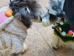 -佛山京华广场MALL