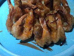 -鸭王烤鸭店(三里河店)