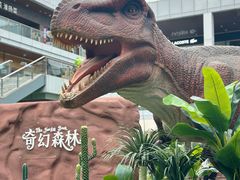 -首创奥特莱斯(北京店)