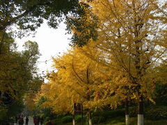 -桂林两江四湖景区