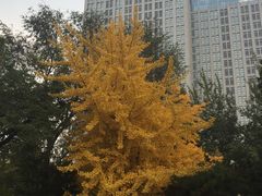 -辽宁大学(崇山校区)